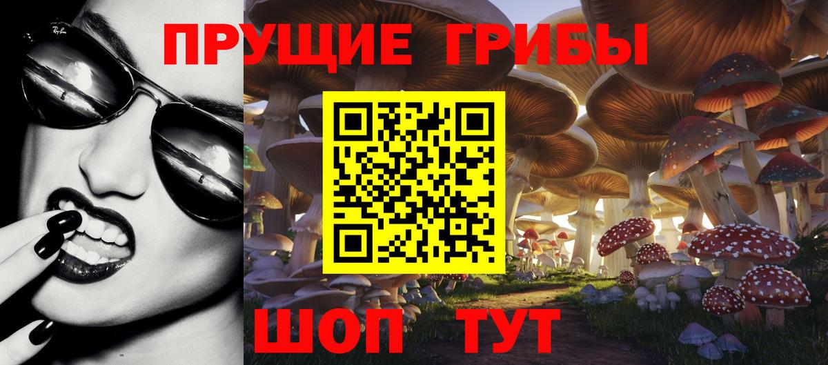 Галлюциногенные грибы Psilocybe  Псилоцибиновые грибы мухоморы  Кимры  Вход с VPN 