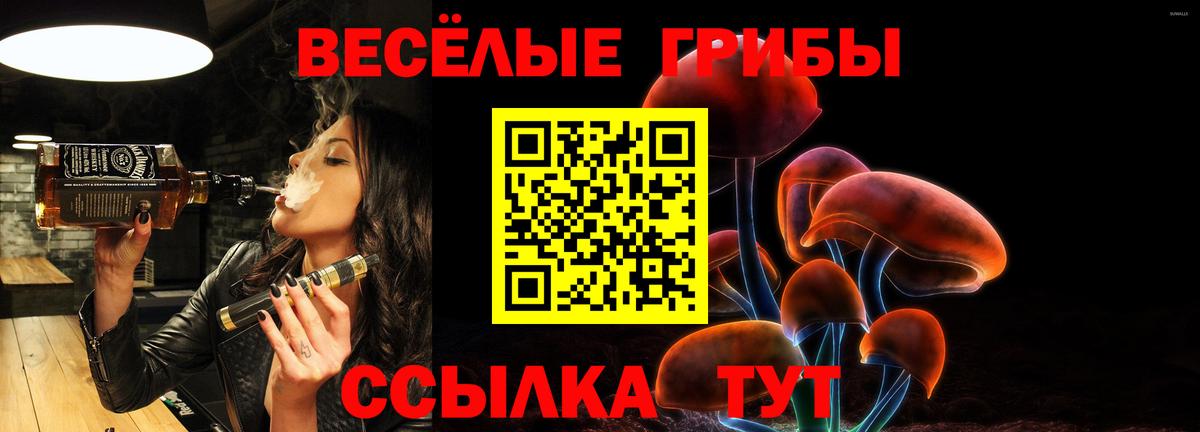 Псилоцибиновые грибы Cubensis Кимры